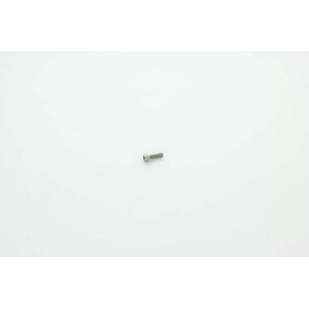 VIC M6x20 POUR AUTOLAVEUSE DULEVO