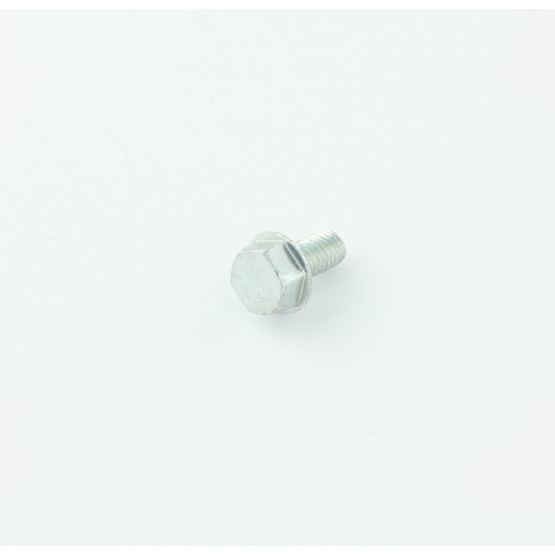 VIS HEXAGONAL EFMG M  6X 12 D7500   8.8C POUR AUTOLAVEUSE TENNANT