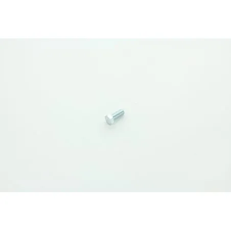 VIS M10x25