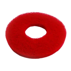 SCHEIBE